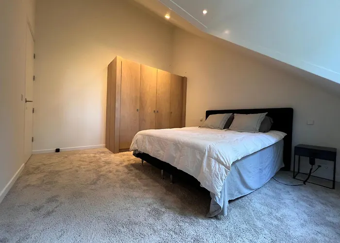 One Magnific 3 Floors Authentic Dutch House With Terrace And One 2 Bedrooms Deluxe Modern 公寓 马斯特里赫特