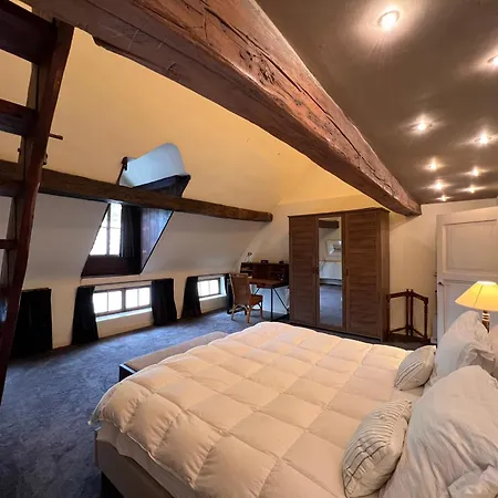 Apartment Magnific 3 Floors Authentic Dutch House With Terrace Maastricht