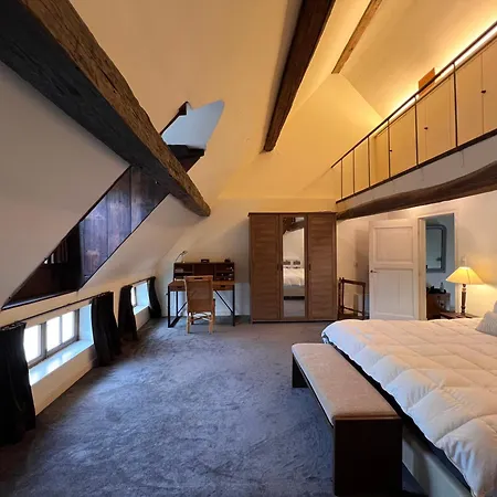 Apartment Magnific 3 Floors Authentic Dutch House With Terrace Maastricht