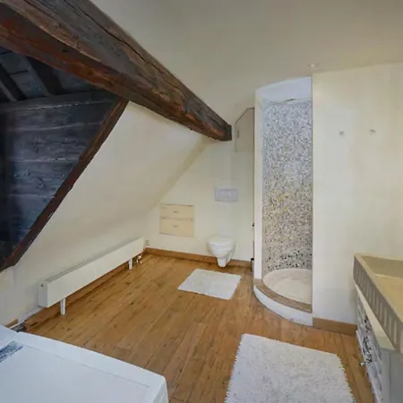 One Magnific 3 Floors Authentic Dutch House With Terrace 马斯特里赫特