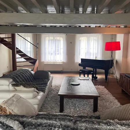 One Magnific 3 Floors Authentic Dutch House With Terrace 马斯特里赫特